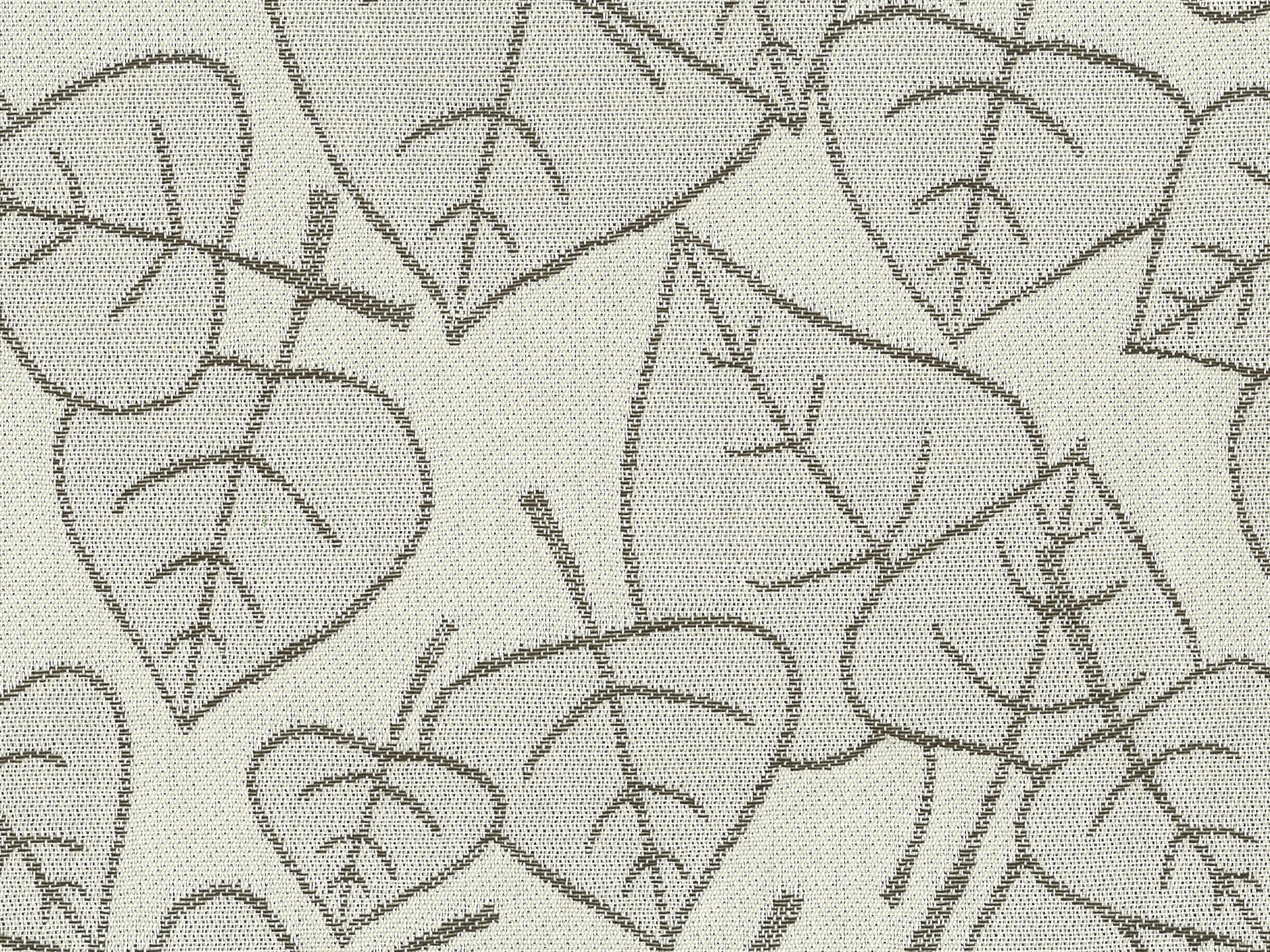 Paradise 01-54