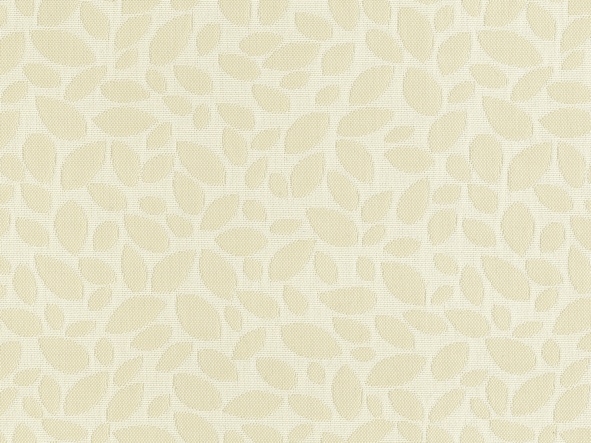 Siesta Olive 04