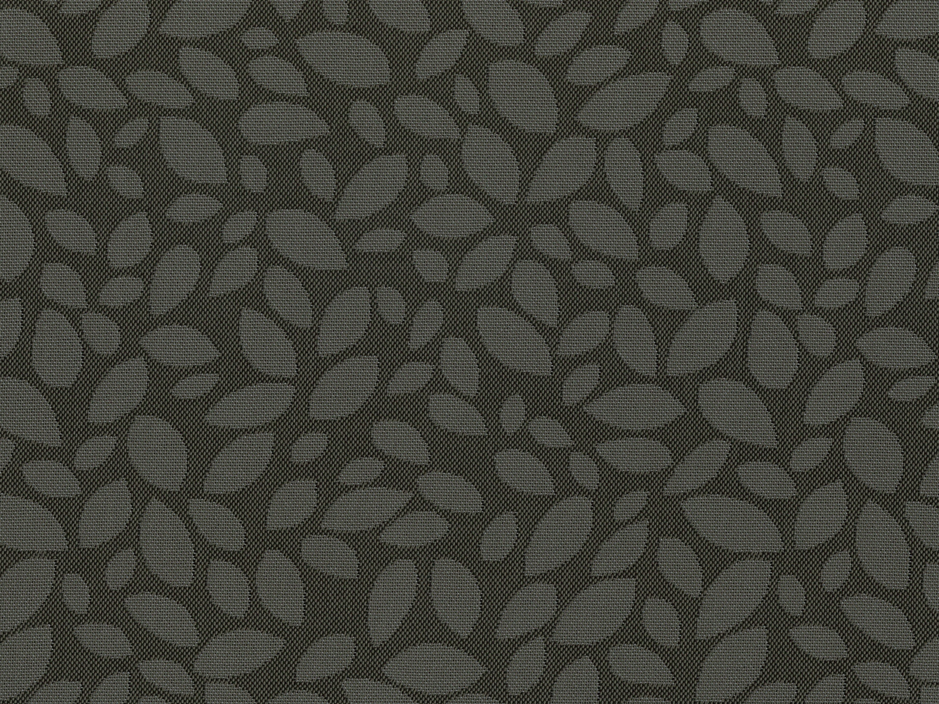 Siesta Olive 56