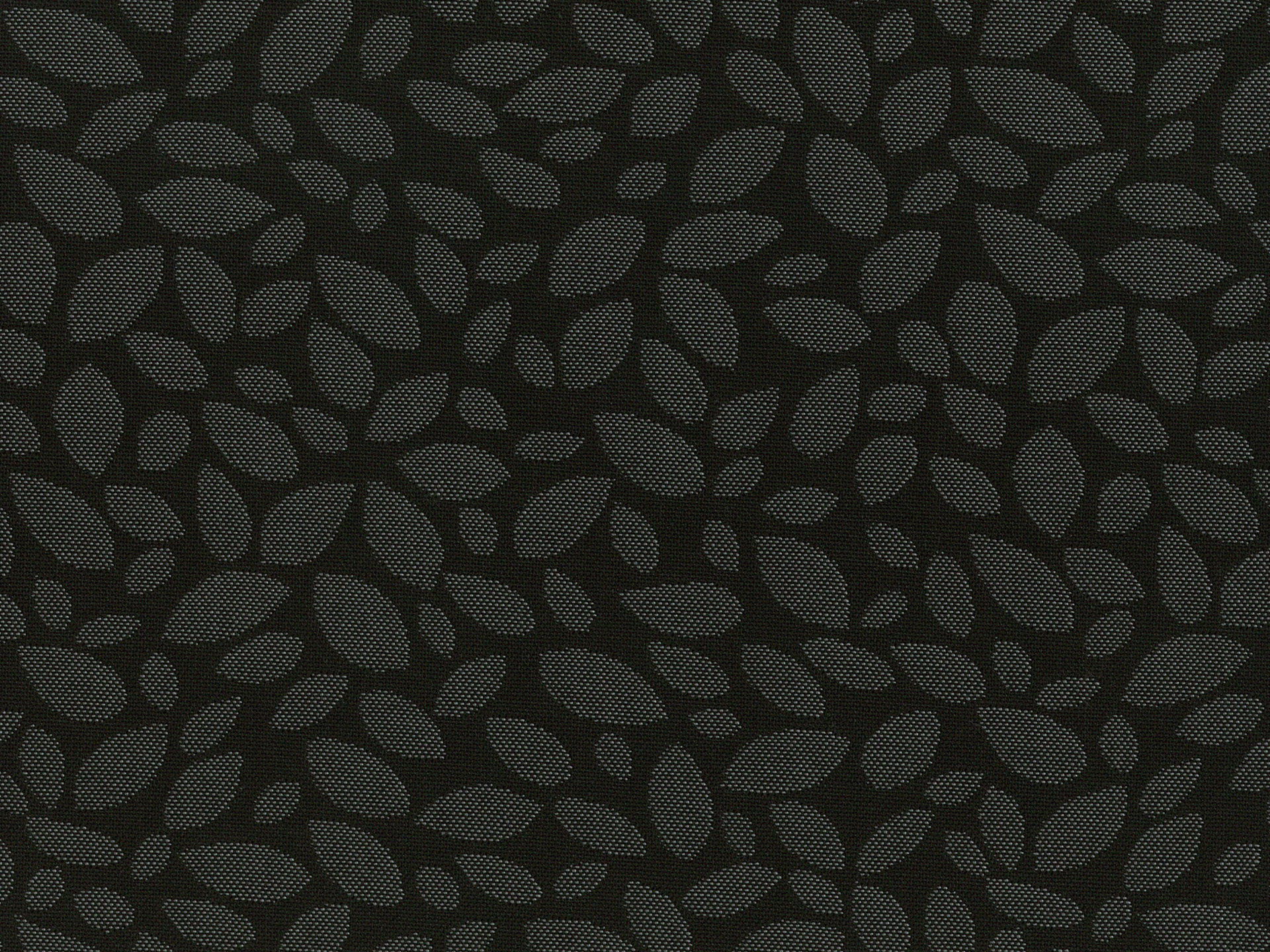 Siesta Olive 02