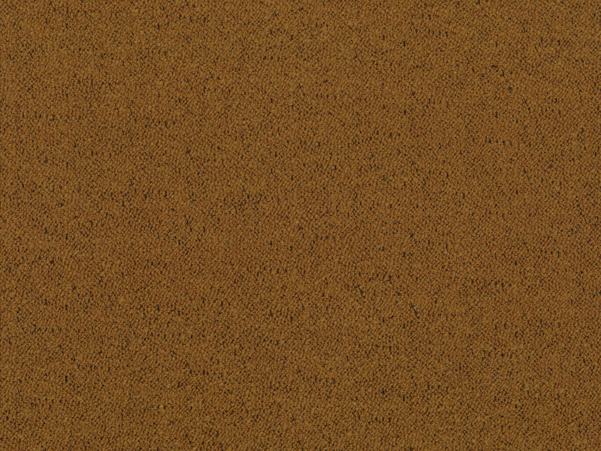 Boucle 29
