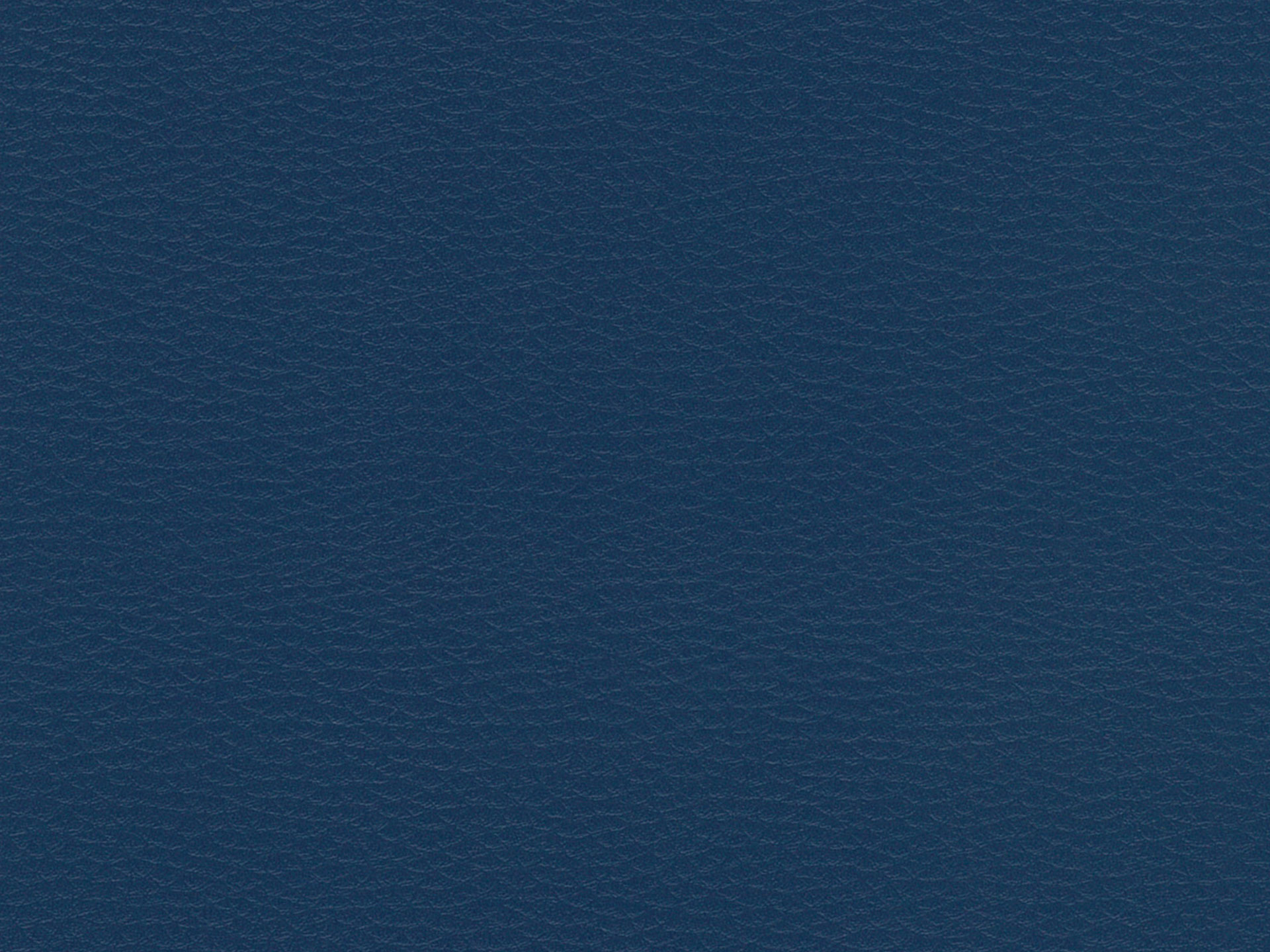 Nevada 635