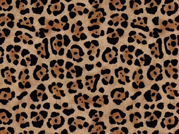 Africa Jaguar