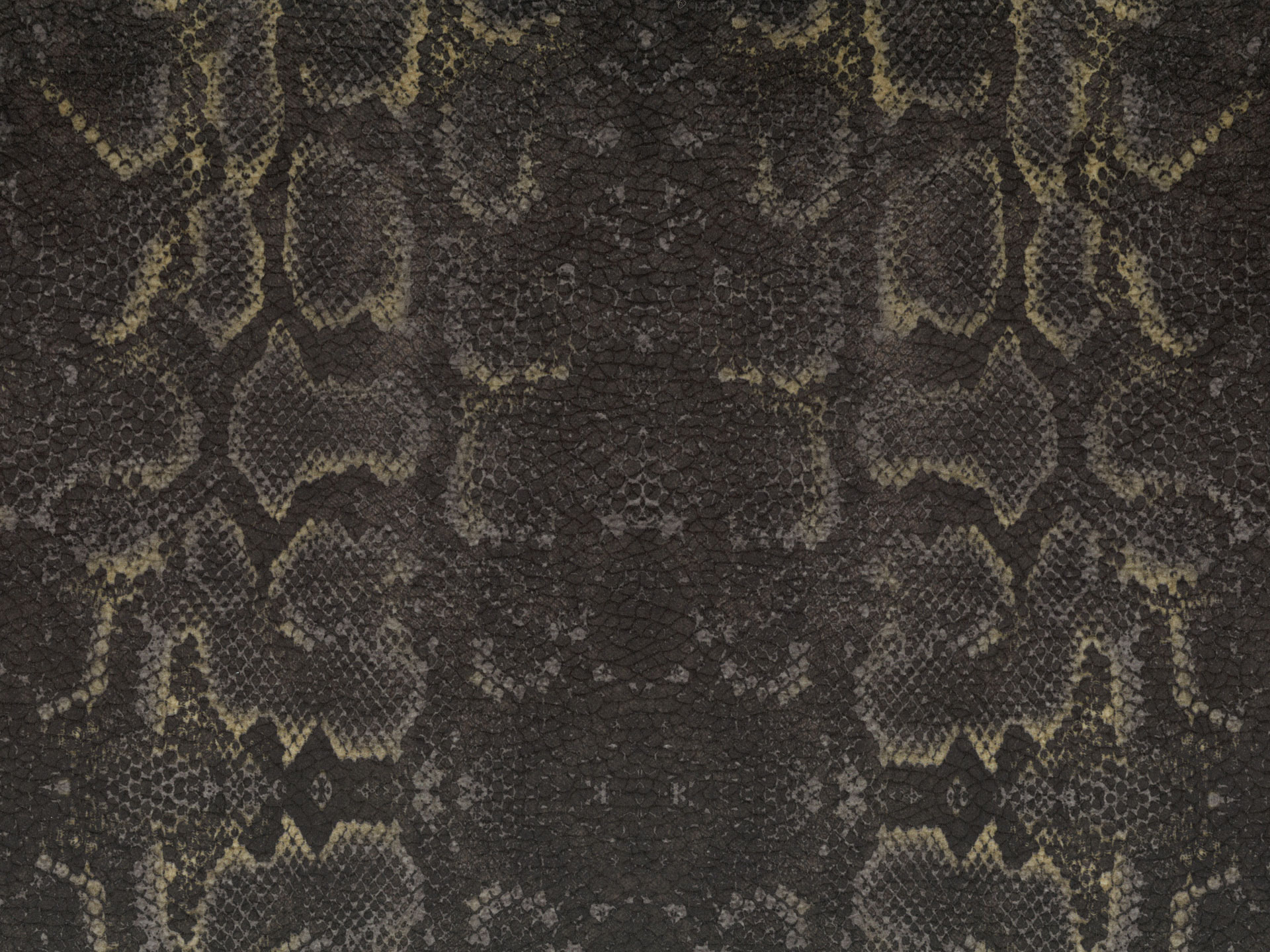 Africa Snake T66