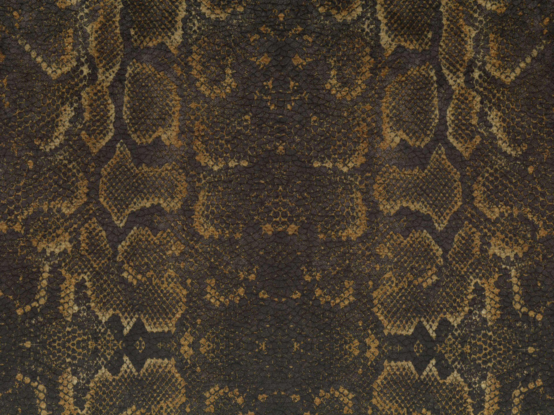 Africa Snake T84
