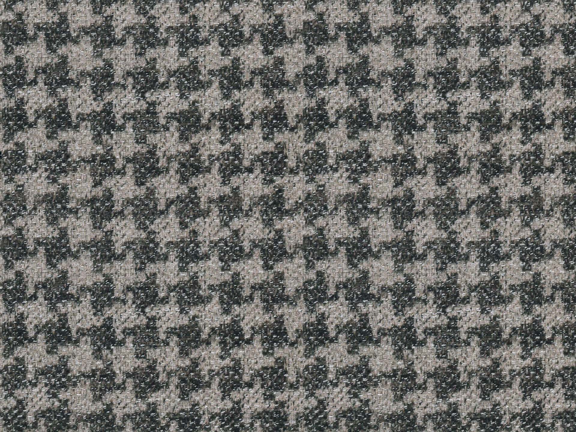 Canada Pepita T02