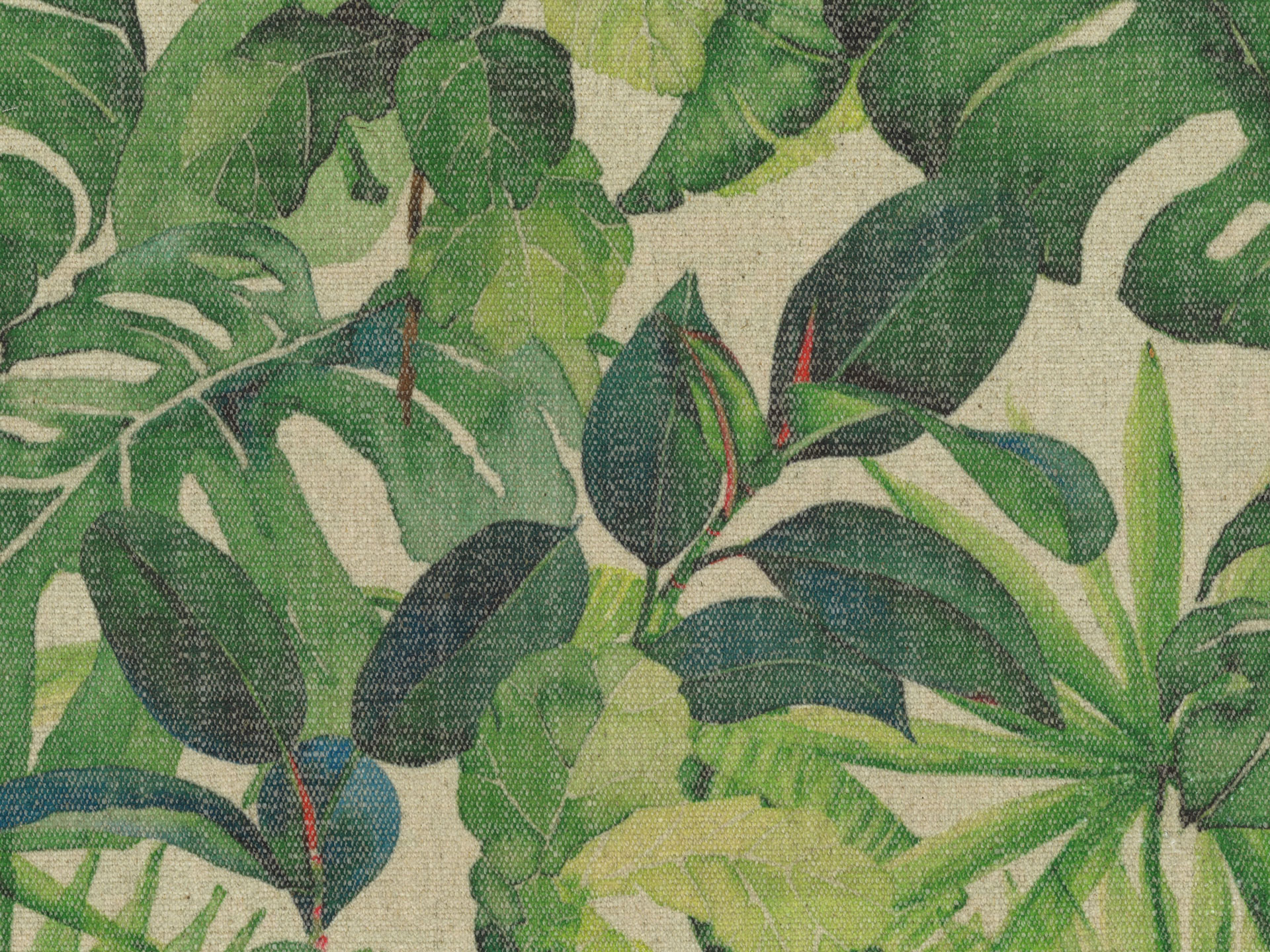 Jungle T38
