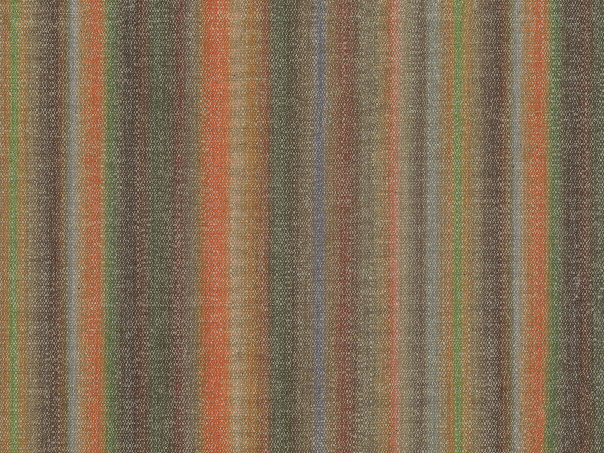 Jungle Stripe T49