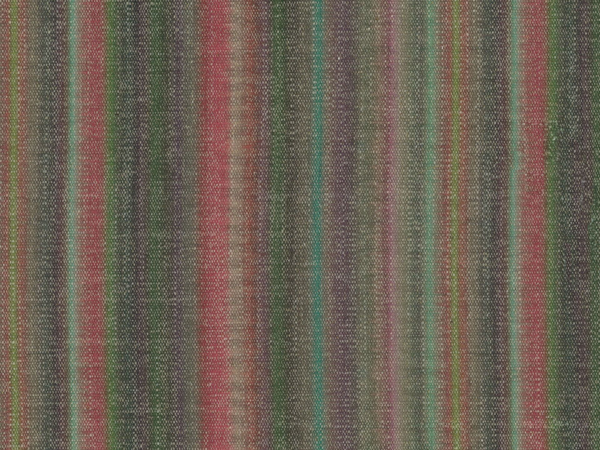 Jungle Stripe T43