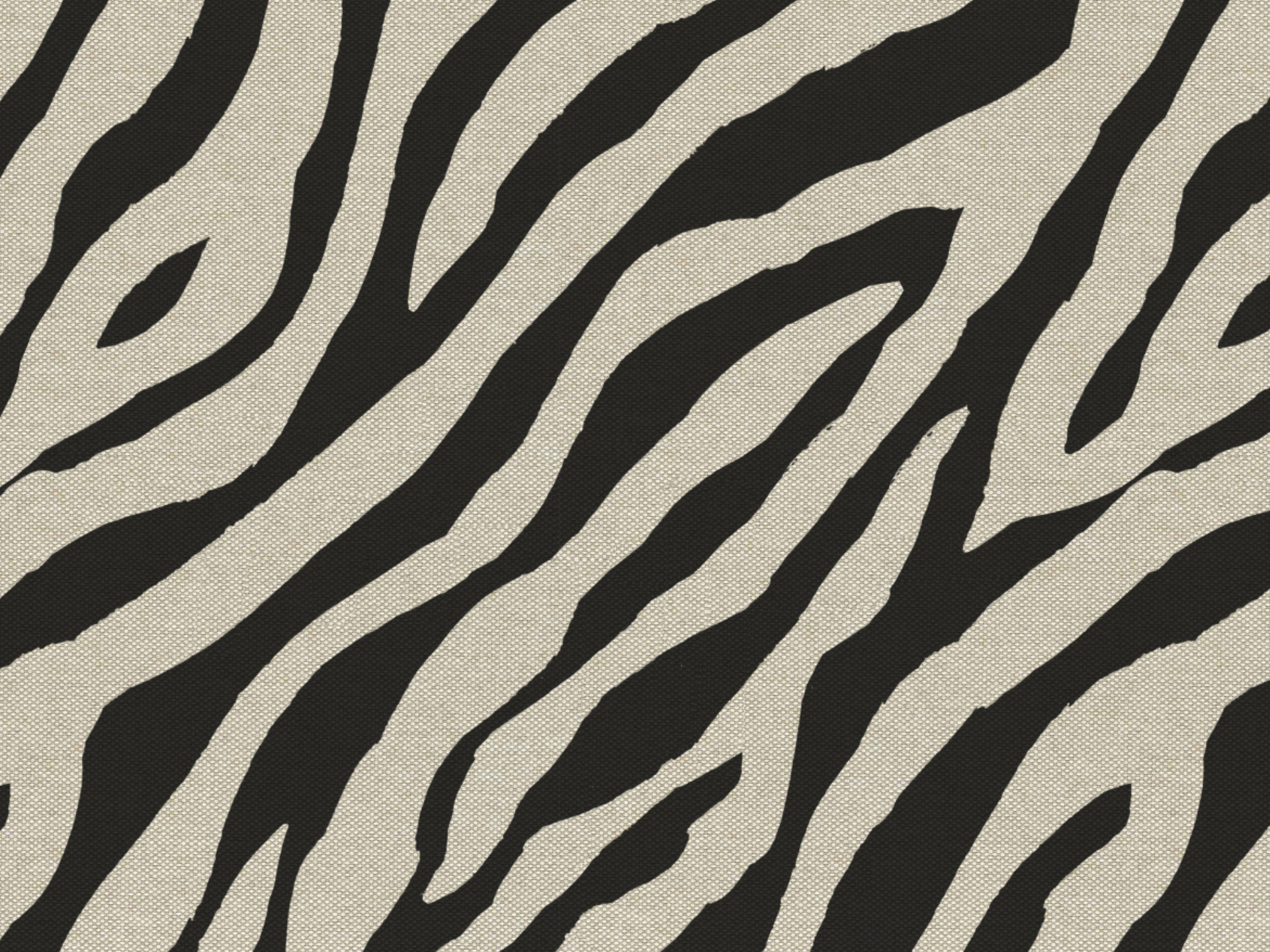 Lars Stripe T24