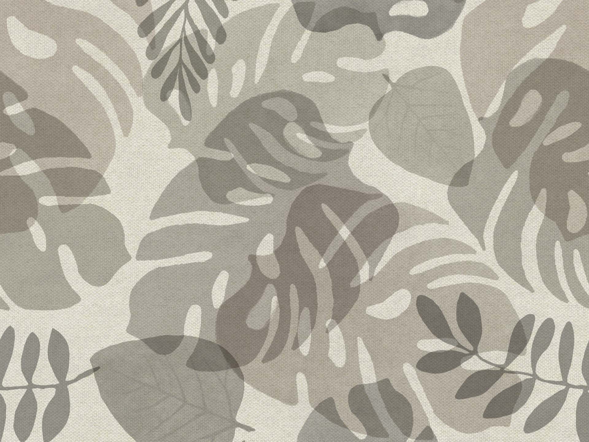 Monstera T126