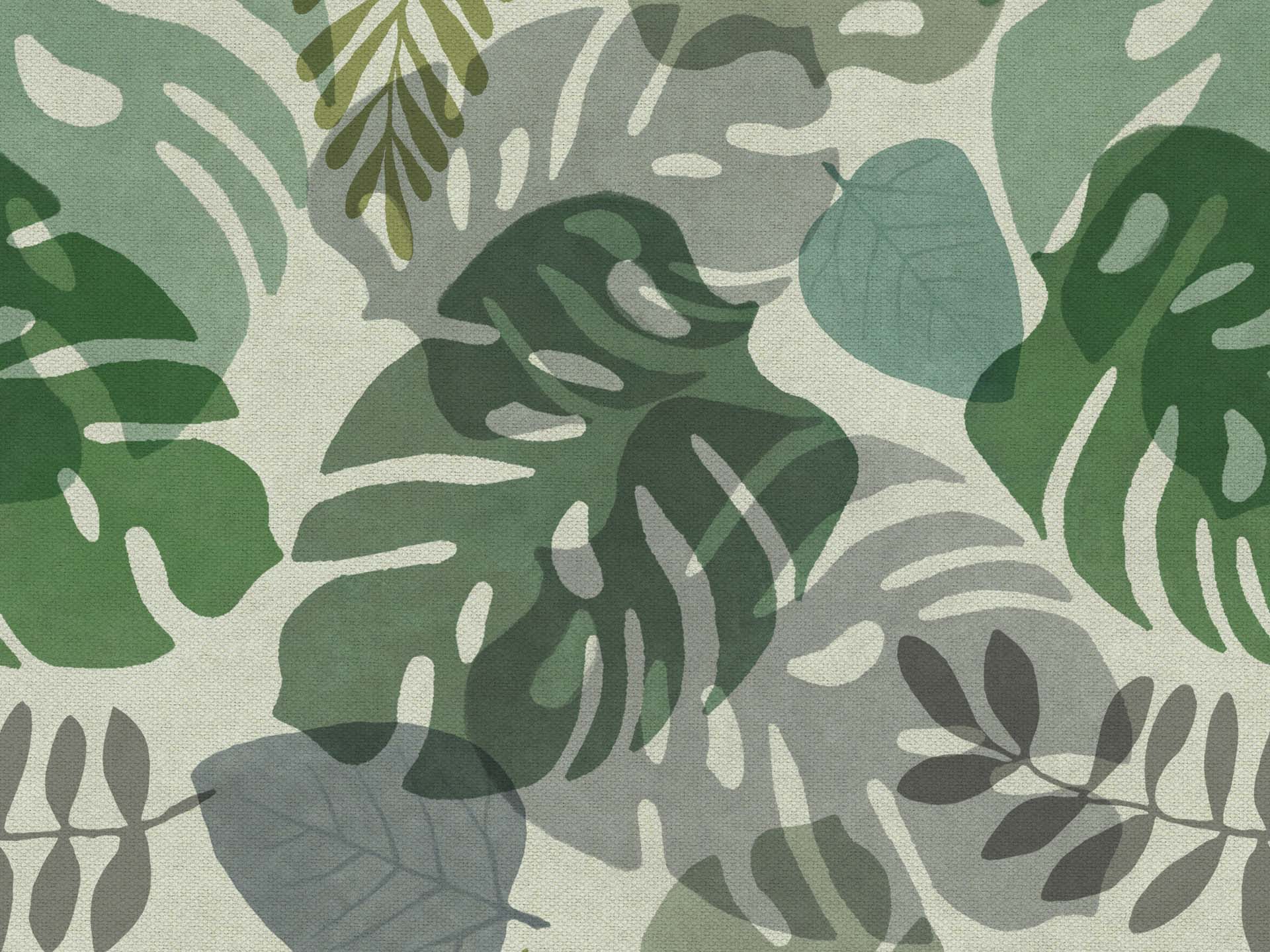 Monstera T148