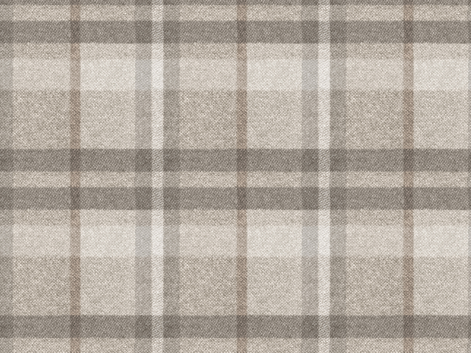 Scotland T14