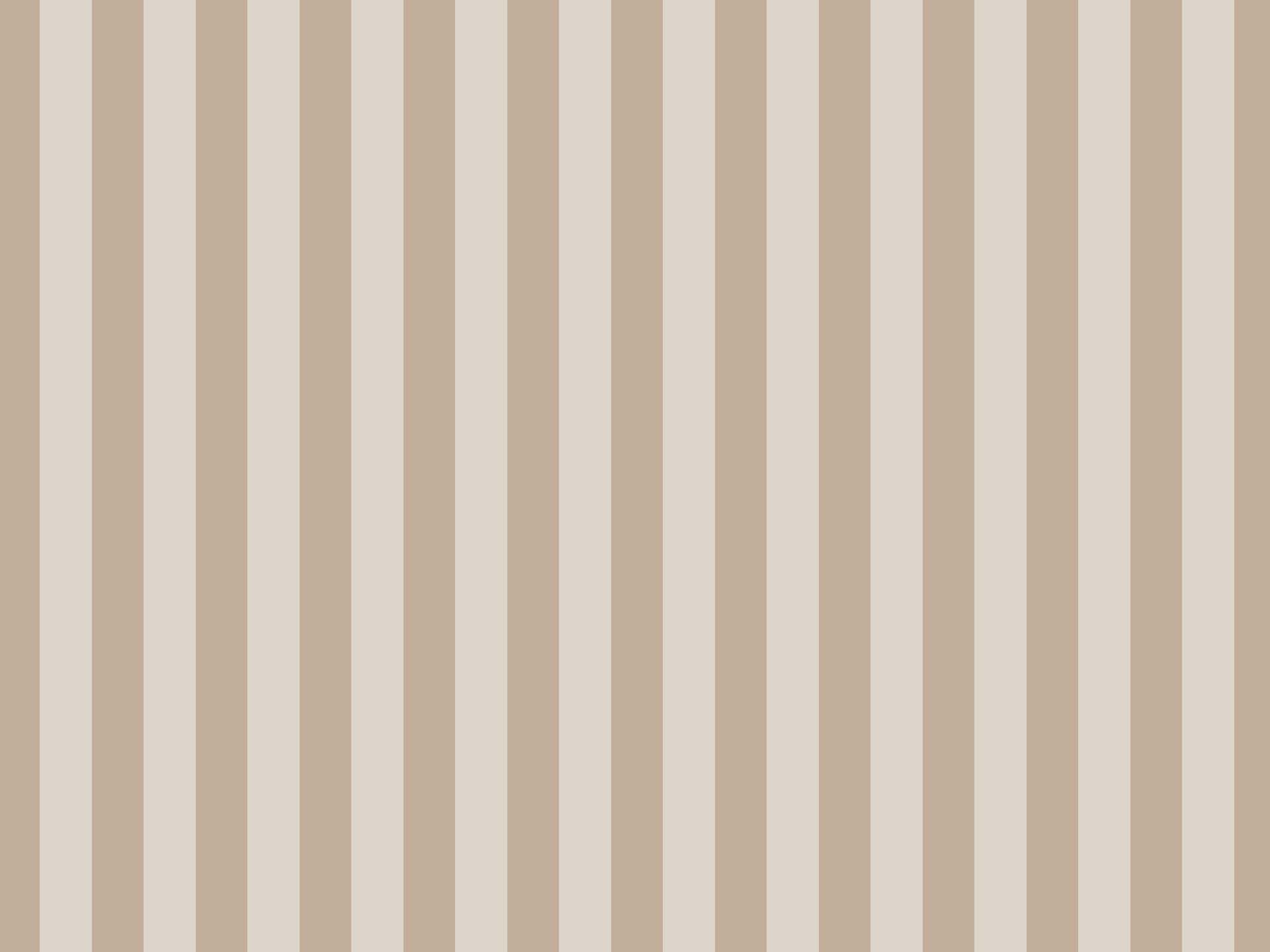 Stil Stripe T2123