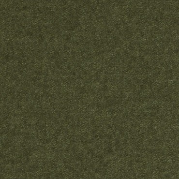Dana 16