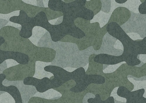 Lars Camo T56